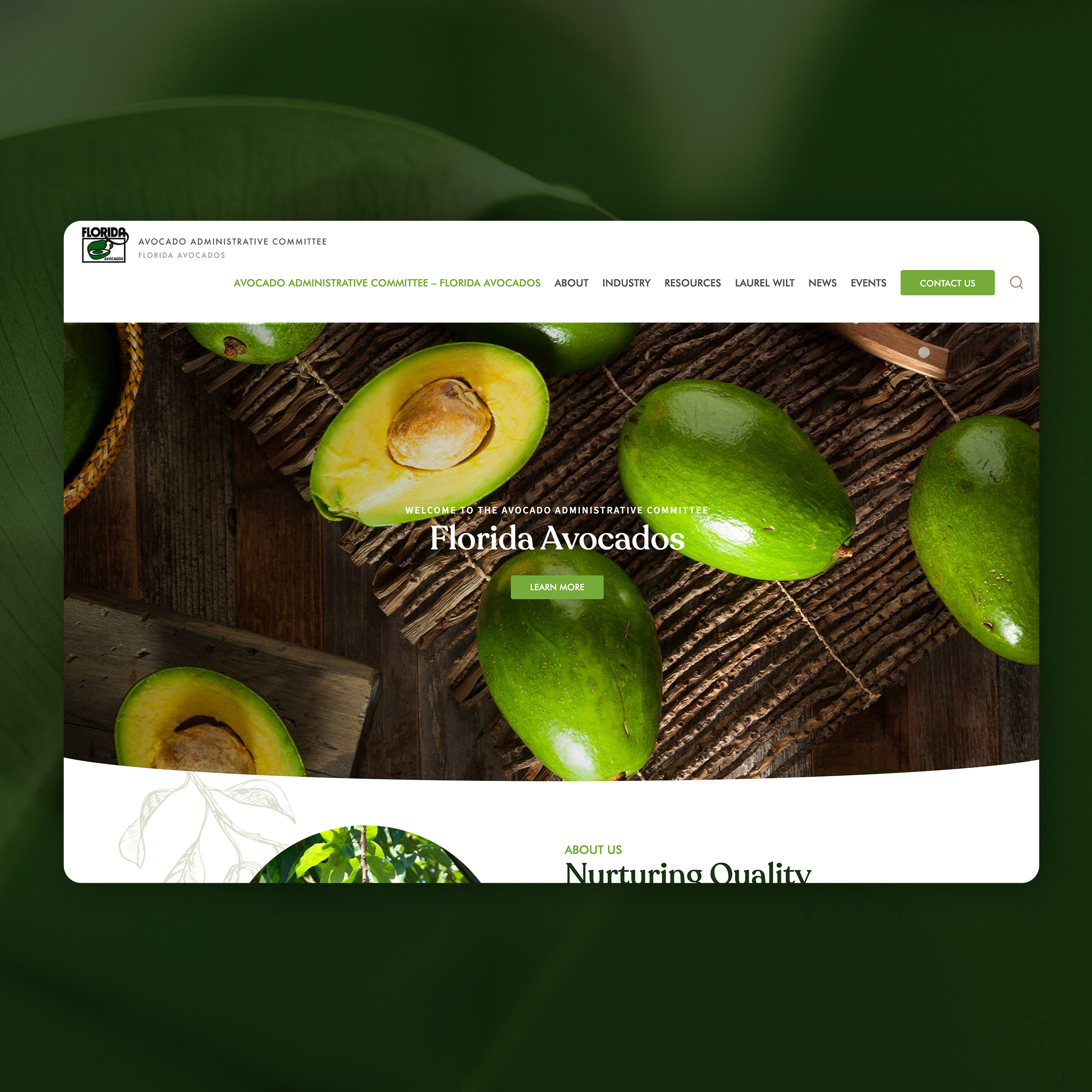Florida Avocado Administrative Committee